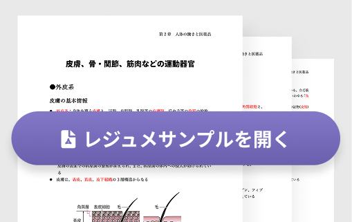 PDFダウンロードボタン